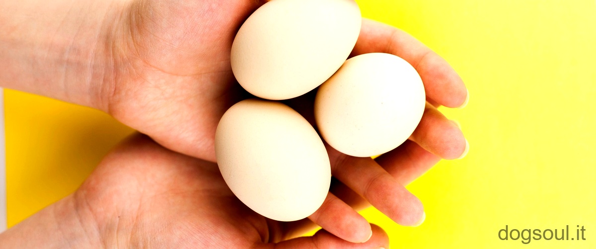 Come si controllano le uova?