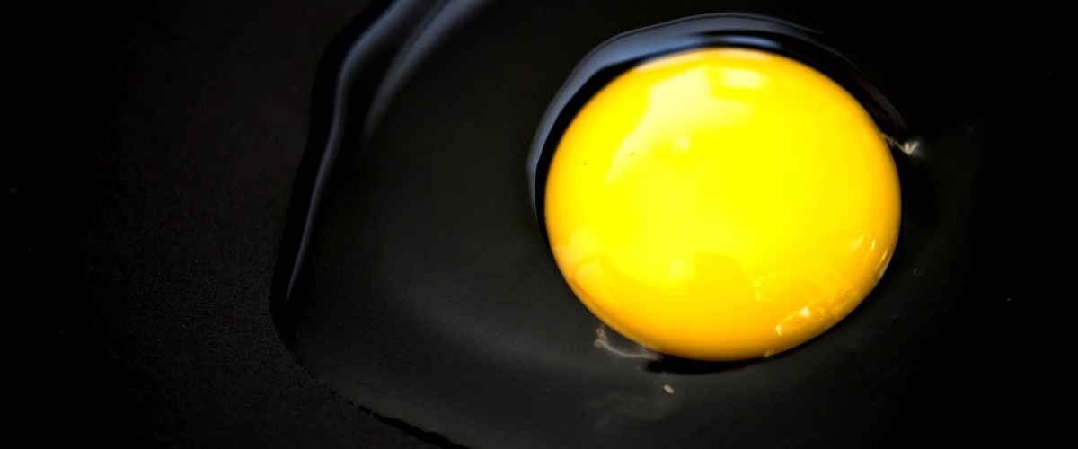 Cosa significa fecondare le uova?