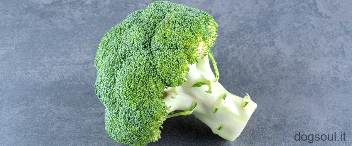 Domanda: Chi non può mangiare i broccoli?