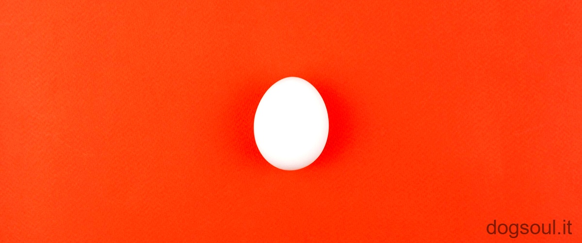Domanda: Come si fa a vedere se un uovo di canarino è fecondo?