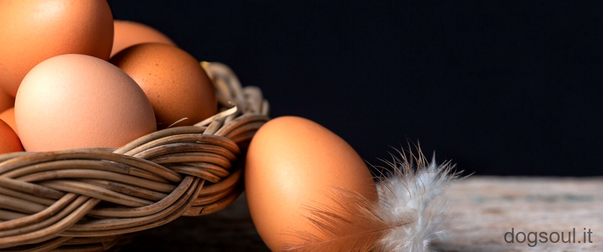 La frase corretta sarebbe: Come fa il gallo a fecondare le uova?