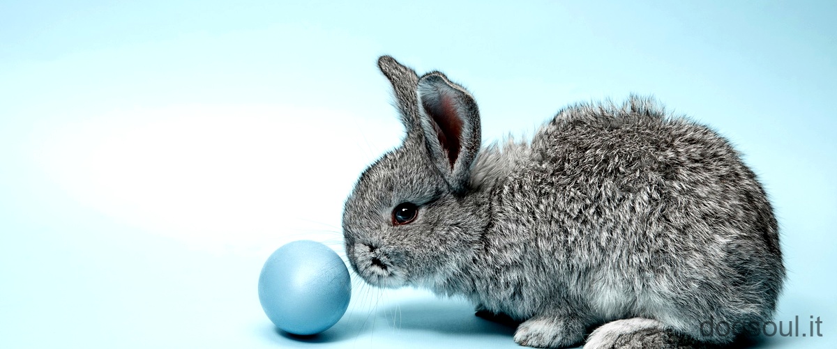 Qual è il nome del coniglietto di Pasqua?