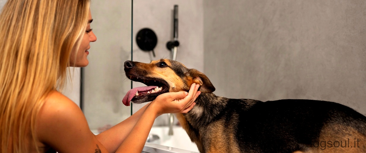 Quanto dura la pulizia dei denti nel cane?