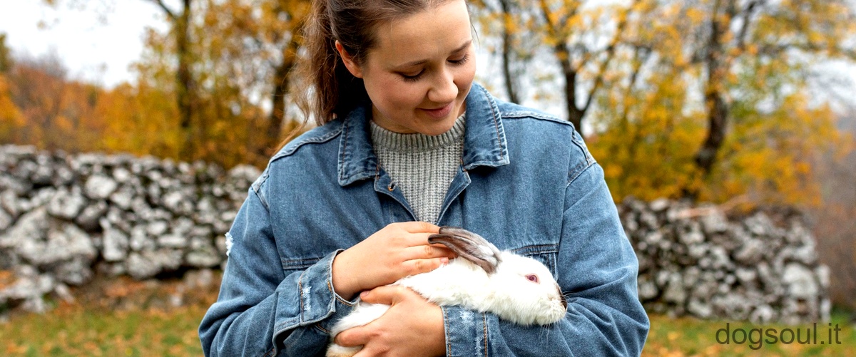 Quanto vive un coniglio nostrano?